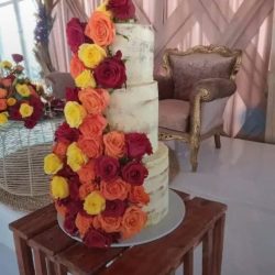 WhatsApp Image 2025-07-19 at 09.04.09